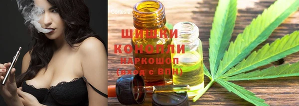спиды Елабуга