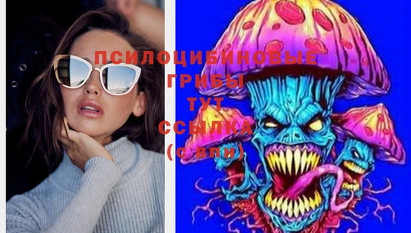 кокс Баксан