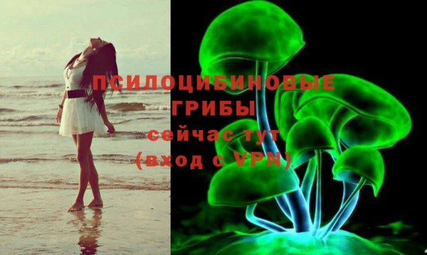 ГАЛЛЮЦИНОГЕННЫЕ ГРИБЫ Балахна
