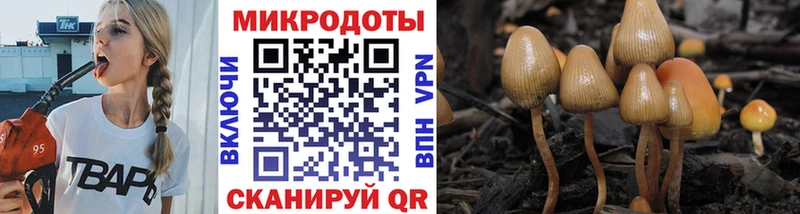 Купить закладки  Алексин  Галлюциногенные грибы GOLDEN TEACHER 